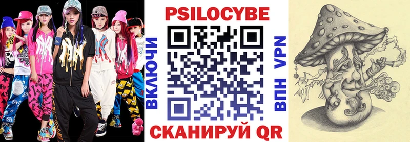 Купить закладки  Череповец  Галлюциногенные грибы Psilocybe 